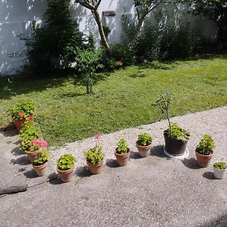Paprika Vendeghaz Hotel Harkány Buitenkant foto