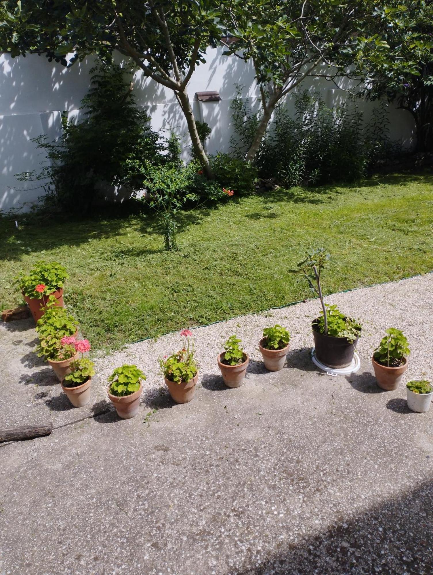 Paprika Vendeghaz Hotel Harkány Buitenkant foto